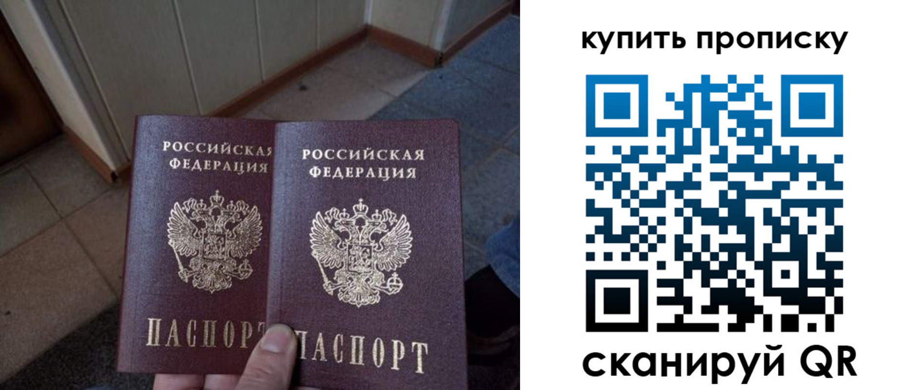 регистрация для школы в Гатчине